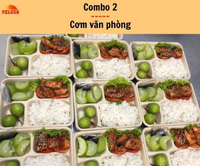Combo 1 - Hộp bã mía cao cấp